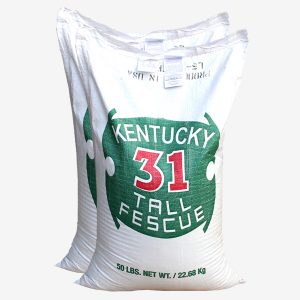 톨훼스큐 1kg