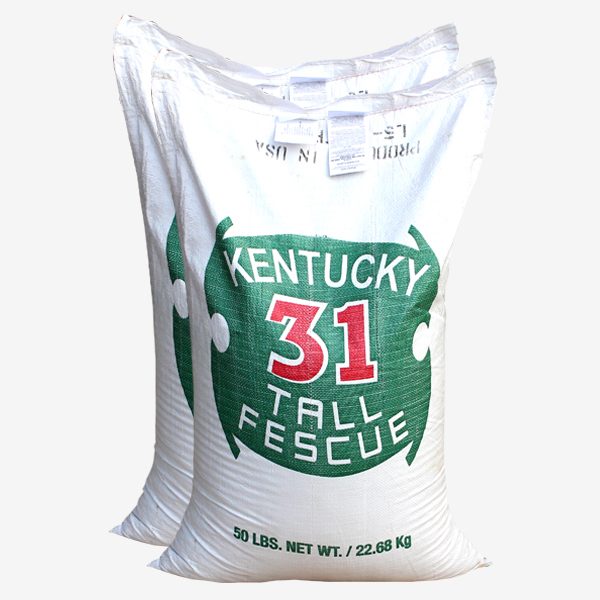 톨훼스큐 1kg