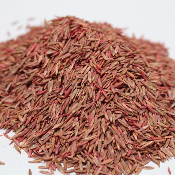 톨훼스큐 1kg